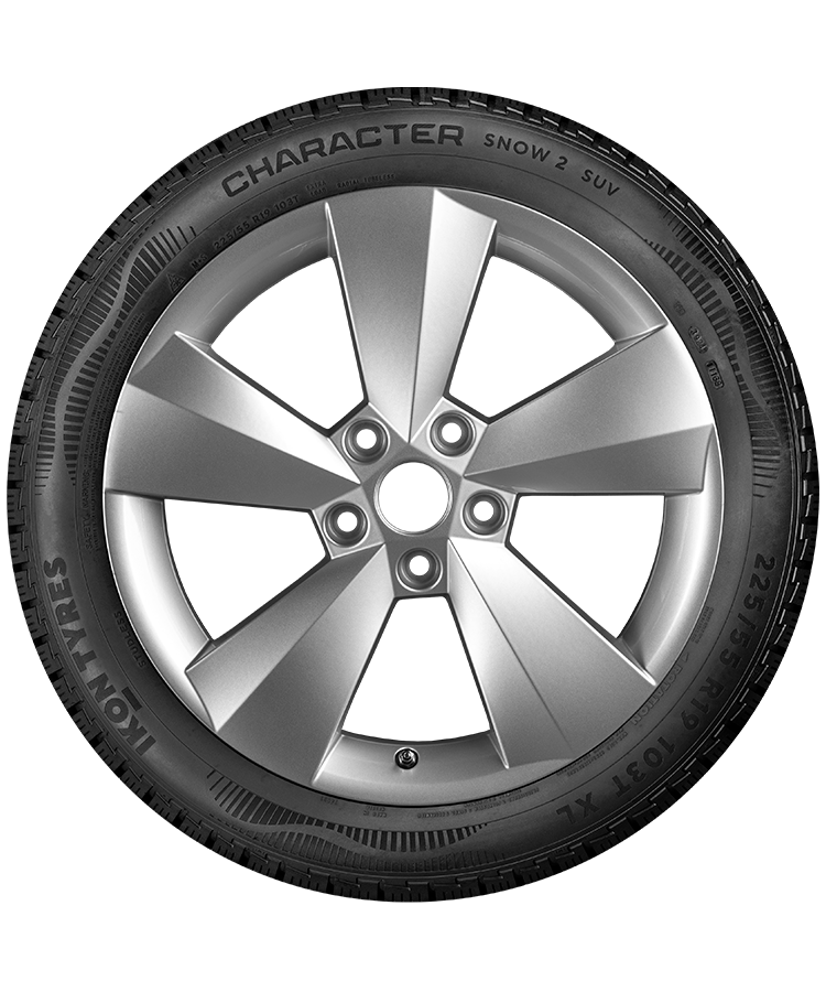 Ikon (Nokian Tyres) Character Snow 2 SUV 215/65 R16 102R (XL) заказать